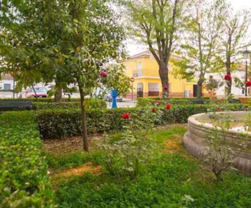 Villa Casa Pablo -Granada- Esterno foto